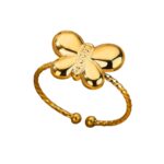 Anillos con Significado